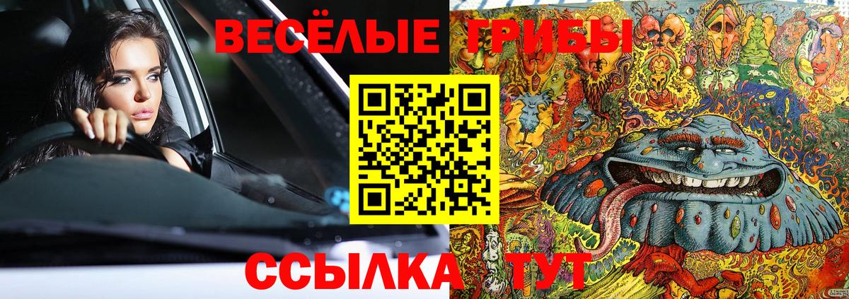 Псилоцибиновые грибы GOLDEN TEACHER Еманжелинск