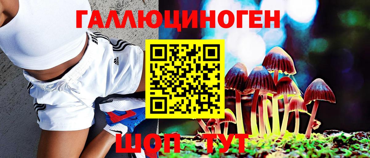 Еманжелинск  Галлюциногенные грибы прущие грибы  Галлюциногенные грибы ЛСД  Вход с VPN 